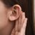 labo-nico-oreilles-entendent-musique